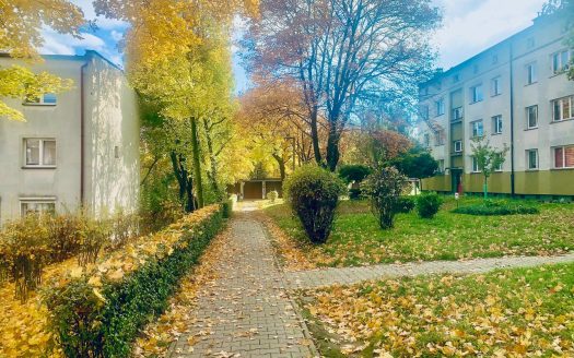 Mieszkanie do remontu w super lokalizacji – Katowice, Koszutka.