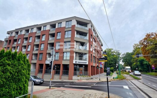 Mieszkanie Koszutka – deweloperski stan